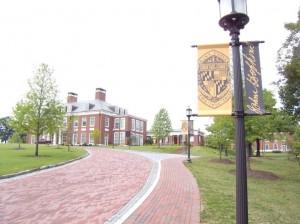 DSCN0524