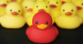 Closeup of rubber duckies